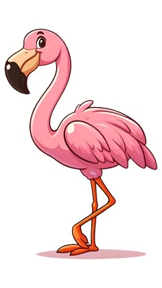 flamboyant flamingo